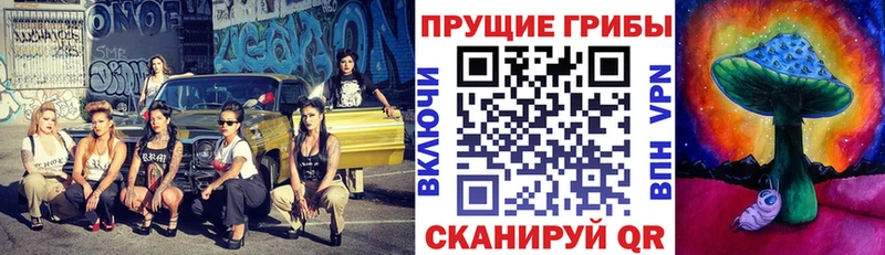 Галлюциногенные грибы Psilocybine cubensis  Купить  Жуковка 